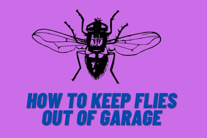 how to keep flies out of garage