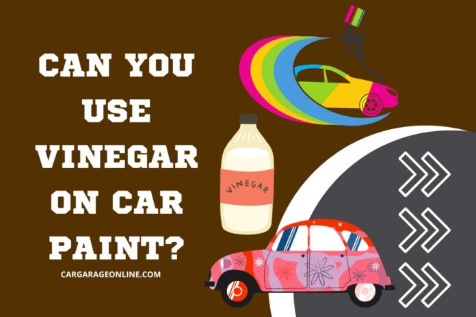 can you use vinegar on car paint